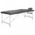 Camilla masaje 2 zonas estructura aluminio antracita 186x68 Vida XL