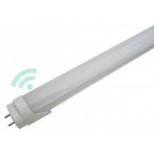 2 Tubos LED de 20W