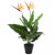 Planta strelitzia reginae ave del paraíso artificial 66cm Vida XL