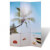 Biombo divisor plegable 120x170 cm playa Vida XL