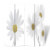 Biombo divisor plegable 160x170 cm flores Vida XL
