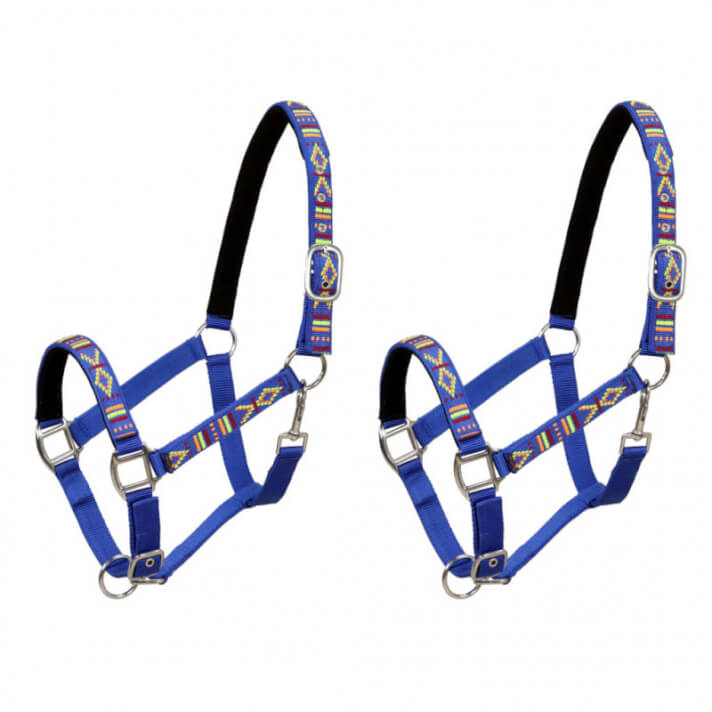Cabezadas de caballo nylon tama&ntilde;o percher&oacute;n azul 2 unidades Vida XL
