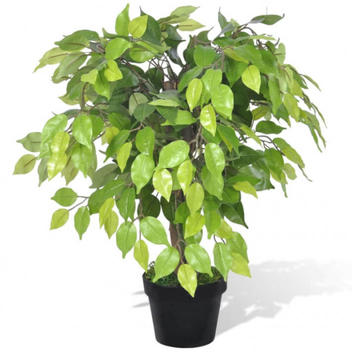 Planta enana artificial de ficus enmaceta, 60cm Vida XL