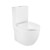 Inodoro completo Rimless Meridian Roca 