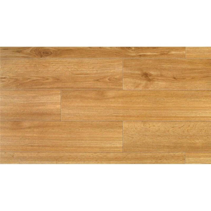 Dino Virtuo Clic GERFLOR