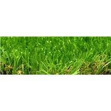Césped Orión Plus Albergrass