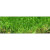 Césped Orión Plus Albergrass