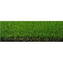 Césped Tempo Albergrass
