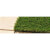 Césped Inverness Albergrass