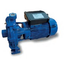 Electrobomba de superficie KF09665 Motogarden 