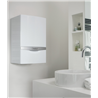CALDERA DE CONDENSACI&Oacute;N ECOTEC PLUS VMW 236/5-5FA GP VAILLANT