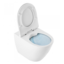 Inodoro cisterna alta rimflush Sanlife Unisan