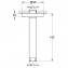Brazo de techo para ducha de 15,1 cm Grohe Rainshower