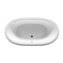 Ba&ntilde;era oval en blanco Newcast ROCA