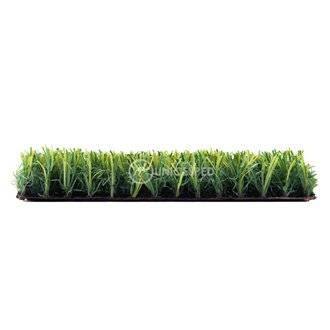 C&eacute;sped Little Grass UNICESPED