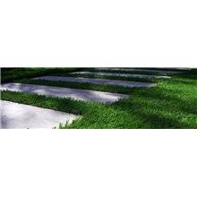 Césped Step III Albergrass