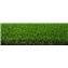 C&eacute;sped Tempo Albergrass