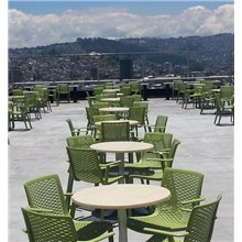 Set de 2 sillas con brazos verdes Netkat Resol