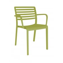 Pack de 2 sillas con brazos verde Lama Resol