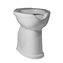 Inodoro alto 50cm con abertura Mediclinics