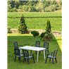 Juego de 22 sillones antracita Corfu Resol