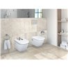 Pack inodoro The Gap Roca y cisterna Geberit DUOFIX 12cm