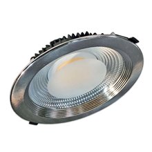 Proyector de techo LED redondo 30W PLATA