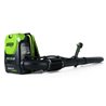 Soplador mochila a bater&iacute;a 60V GD60BPB Motogarden 