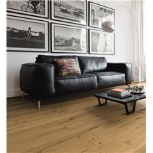 Roble Invisible Sauvage 4V nL HARO