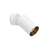 L&aacute;mpara proyector blanca 12W Stan Faro