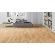 ROBLE Trend Pm HARO