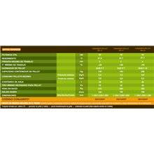 Conjunto caldera policombustible SFL-4 FERROLI