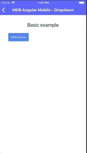 iOS dropdown