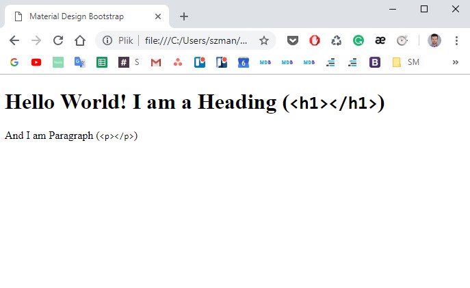 Browser