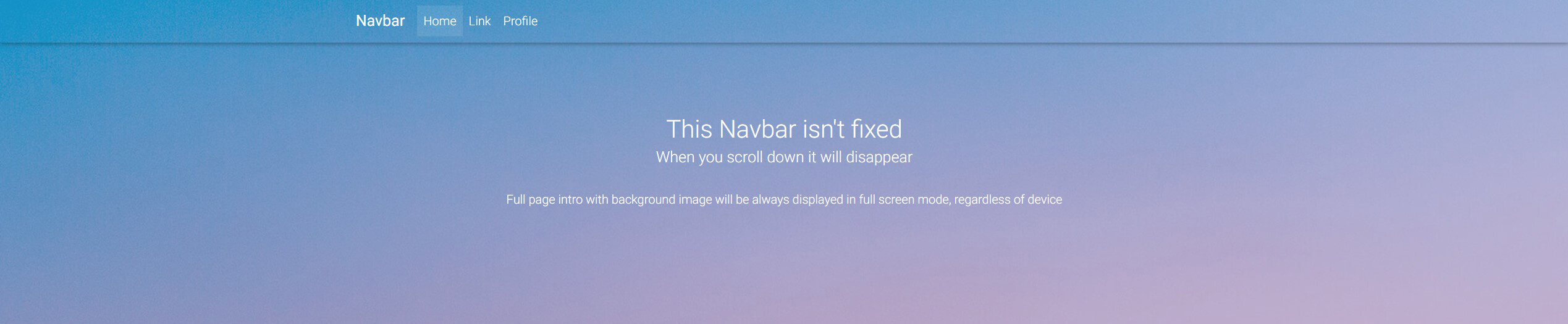 Website with a regular fixed Navbar.