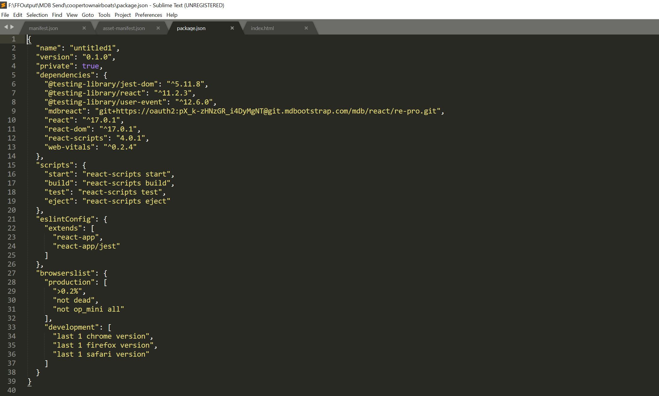Image of my package.json