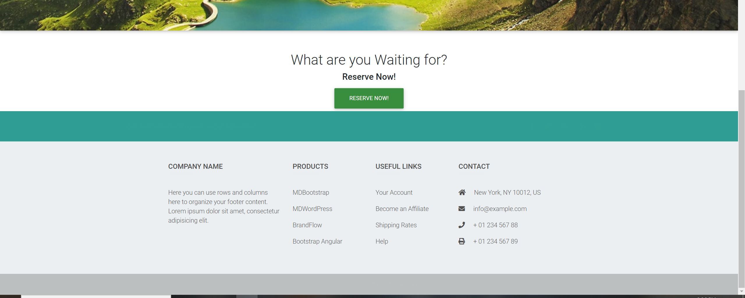 Footer  NOT showing pro components when deploying inside the /build folder