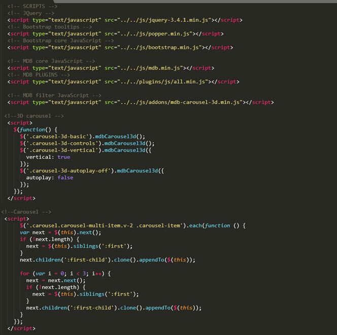 screenshot of scripts tag