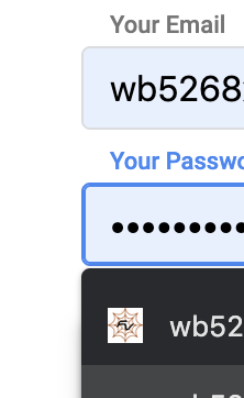the visual proof of autofill/autocomplete