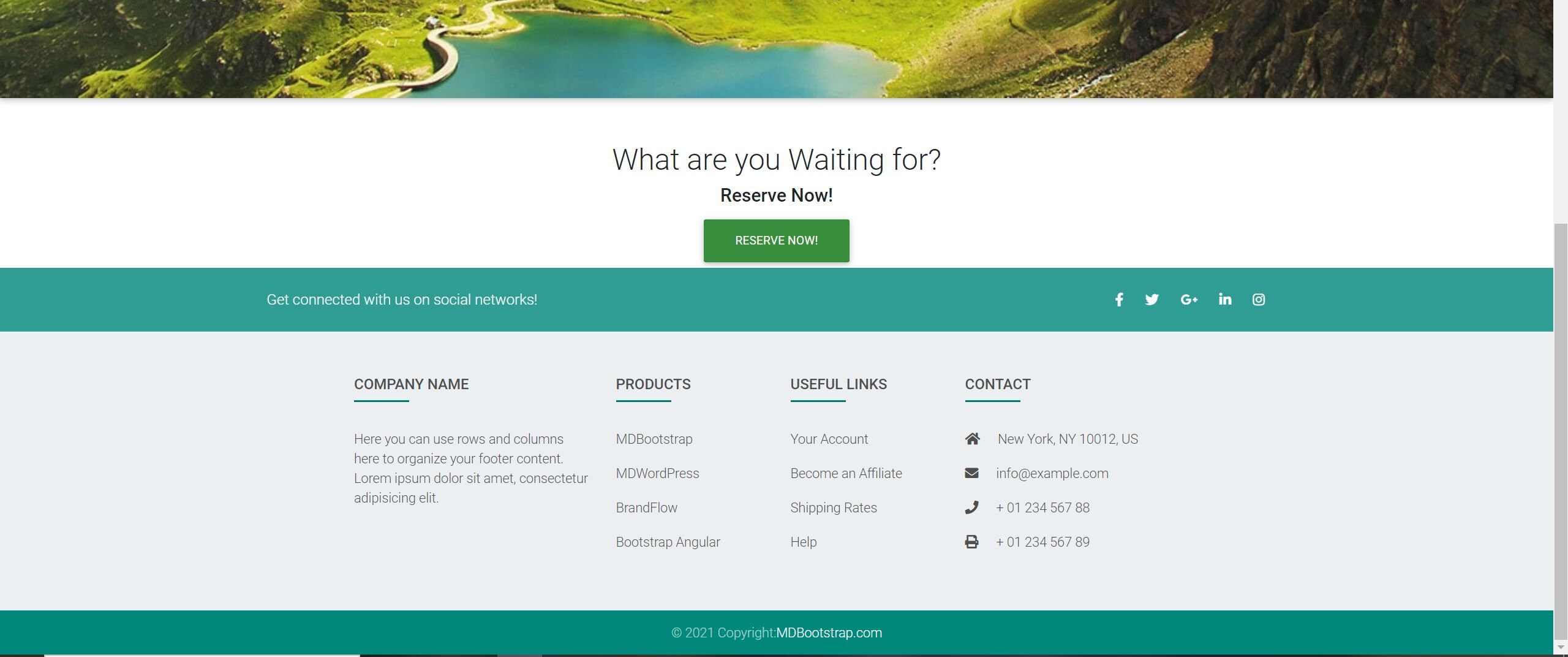 Footer  showing pro components when developing and testing