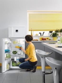 Frigorífico 2P Zanussi ZRT27101WA Arqueado Blanco Libre Electromecánico de 159 cm Clase A+ - 4
