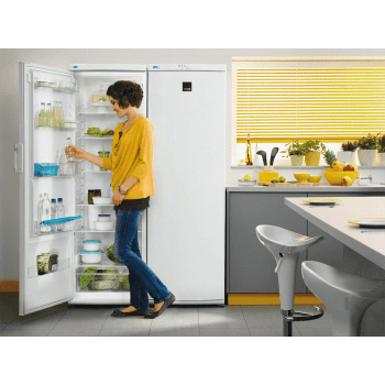 Congelador Vertical Zanussi ZFU25200WA Libre Blanco de 185 x 59.5 cm No Frost Apertura derecha Reversible Clase A+ - 4