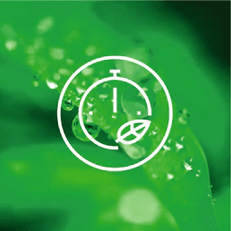 Programa 30 minutos