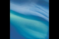 Carribean Surf
