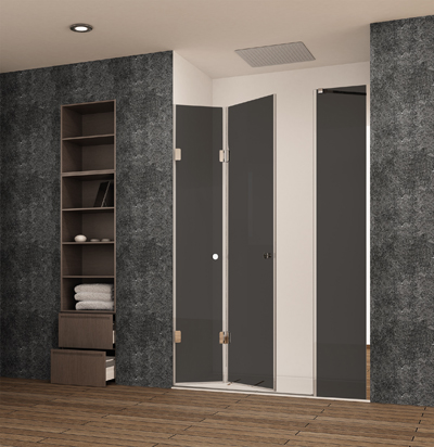 Mampara de vidrio negro y puerta plegable