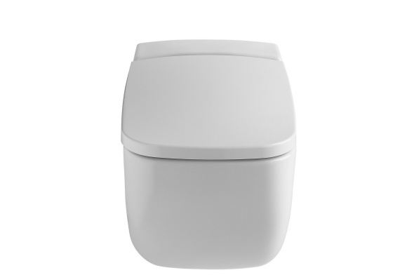 Cuvette suspendue 54x34 cm.
