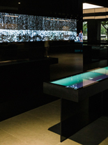 Roca Shangai Gallery
