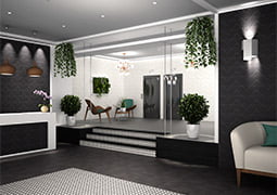 Zen Sen Black